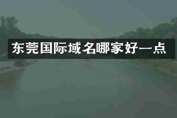 东莞国际域名哪家好一点