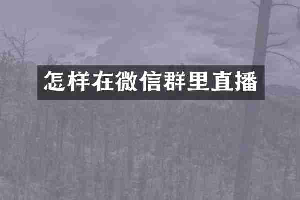 怎样在微信群里直播