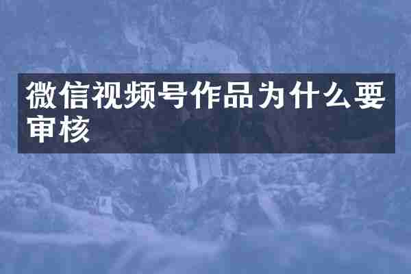 微信视频号作品为什么要审核