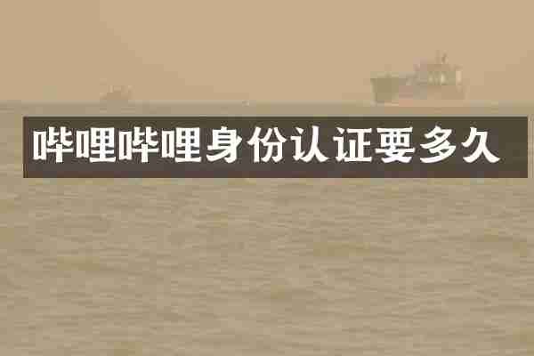 哔哩哔哩身份认证要多久