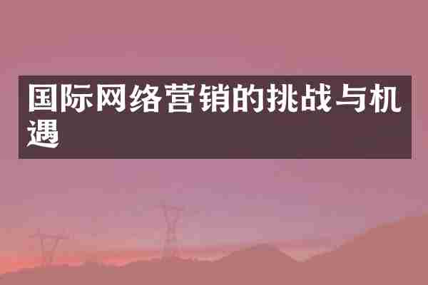 国际网络营销的挑战与机遇