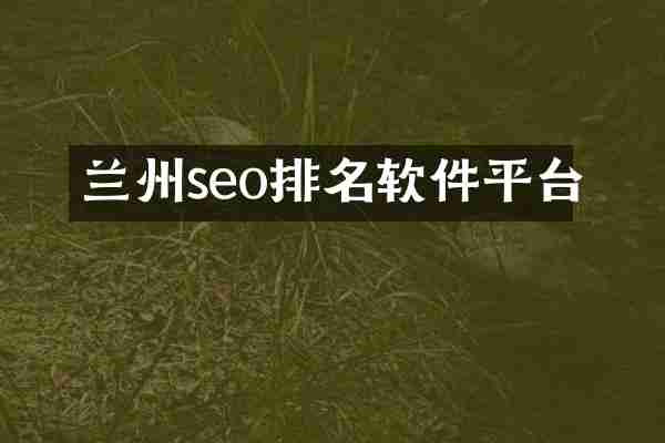 兰州seo排名软件平台