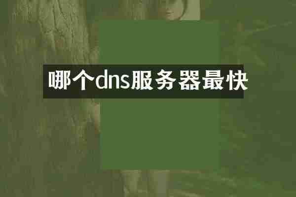 哪个dns服务器最快
