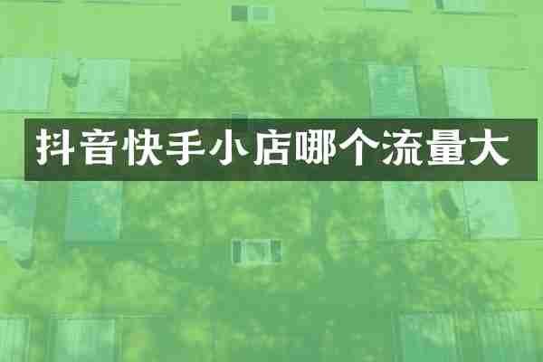 抖音快手小店哪个流量大