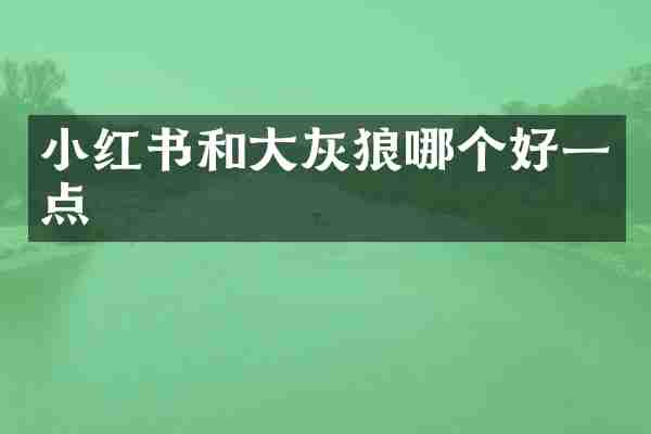 小红书和大灰狼哪个好一点