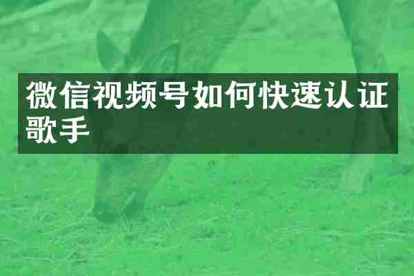 微信视频号如何快速认证歌手