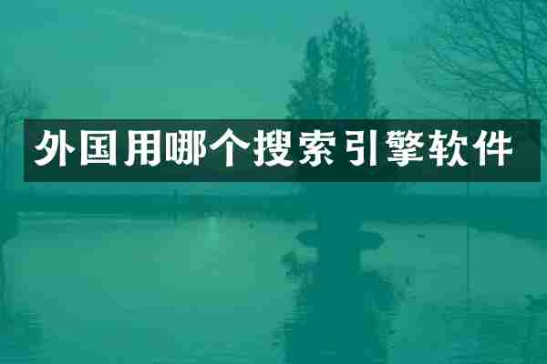 外国用哪个搜索引擎软件