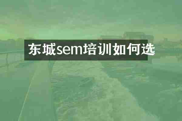 东城sem培训如何选