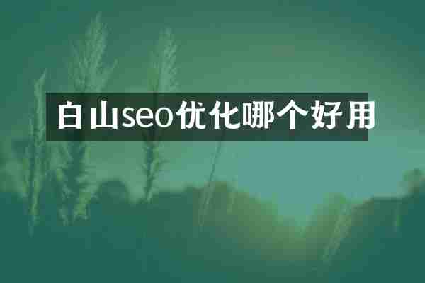 白山seo优化哪个好用
