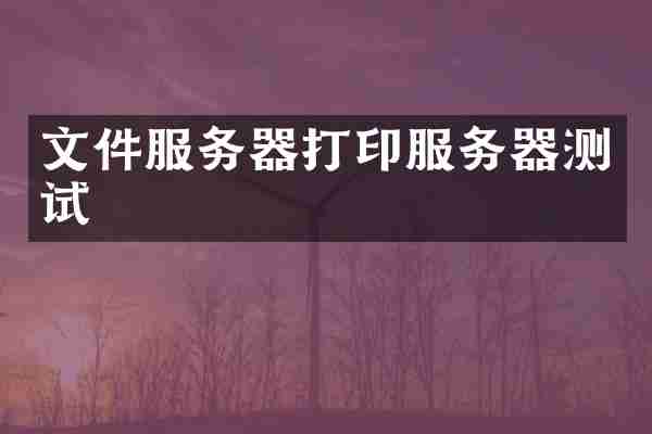 文件服务器打印服务器测试
