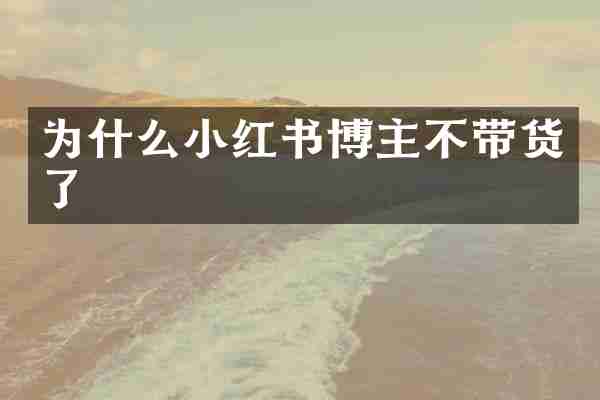 为什么小红书博主不带货了