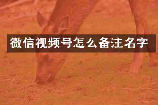 微信视频号怎么备注名字