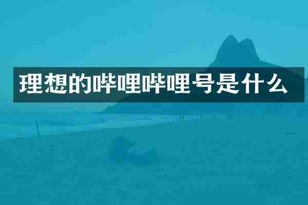 理想的哔哩哔哩号是什么