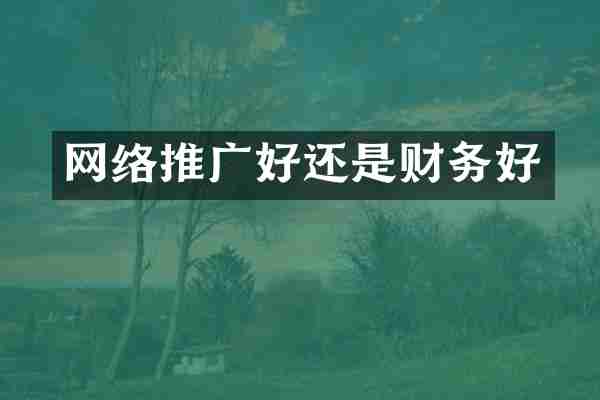 网络推广好还是财务好