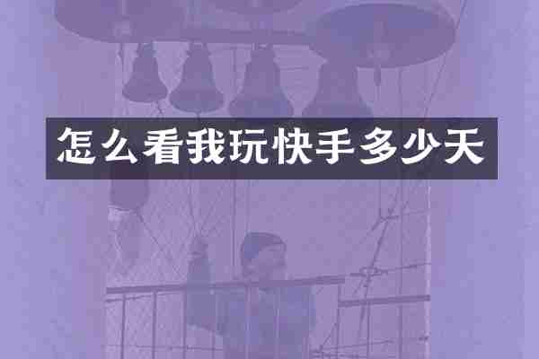 怎么看我玩快手多少天