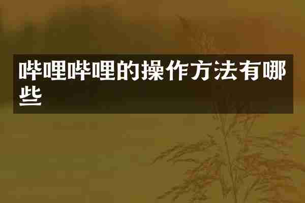 哔哩哔哩的操作方法有哪些