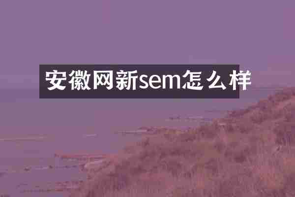 安徽网新sem怎么样