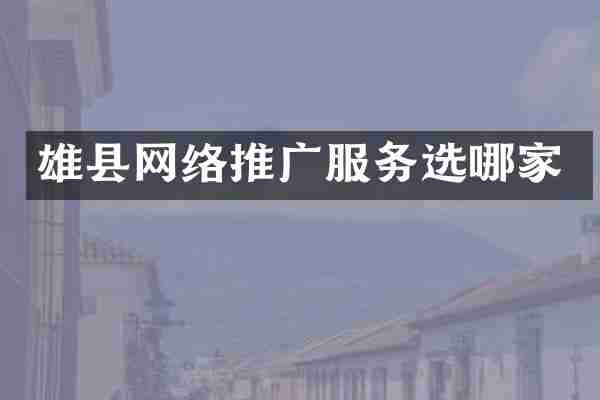 雄县网络推广服务选哪家