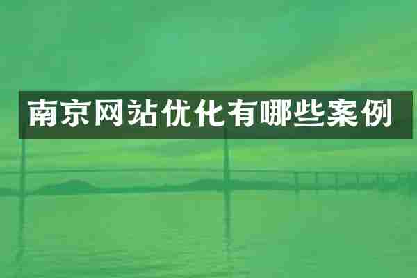 南京网站优化有哪些案例
