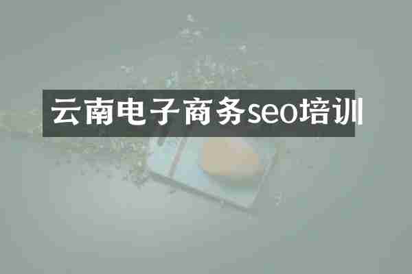 云南电子商务seo培训