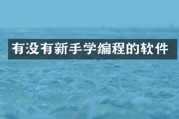 有没有新手学编程的软件