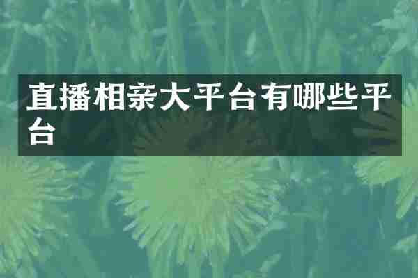 直播相亲大平台有哪些平台