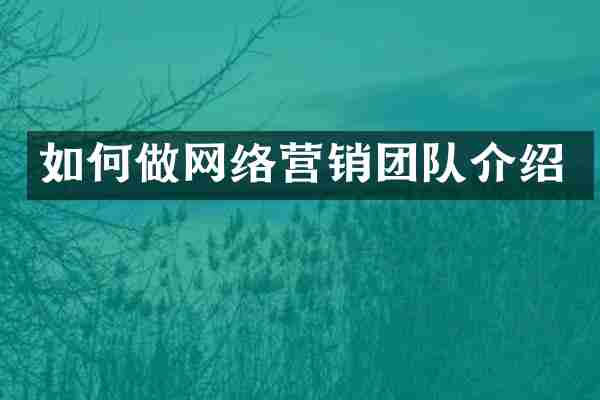 如何做网络营销团队介绍