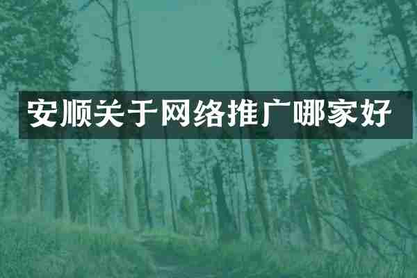安顺关于网络推广哪家好