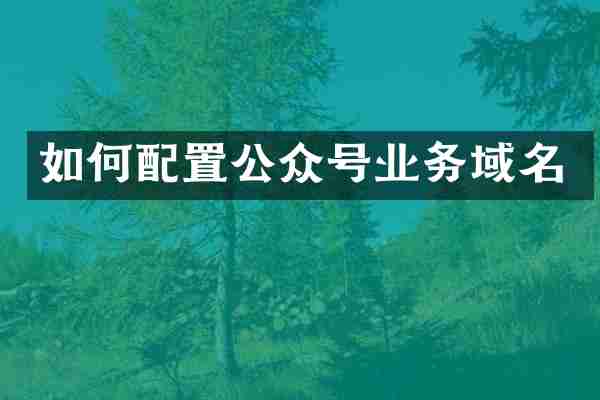 如何配置公众号业务域名