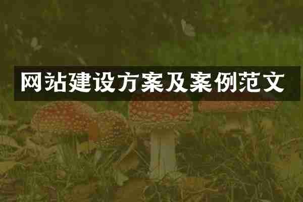 网站建设方案及案例范文
