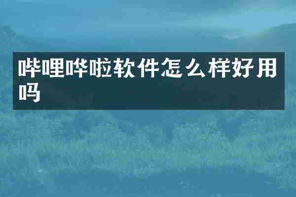 哔哩哗啦软件怎么样好用吗