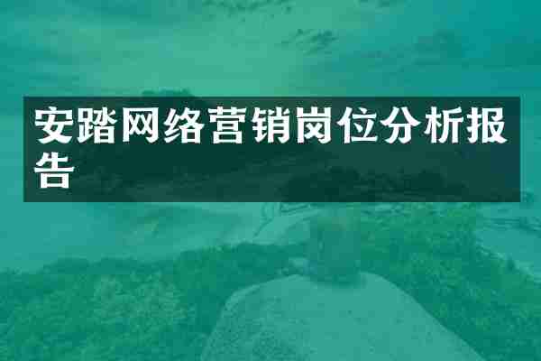 安踏网络营销岗位分析报告