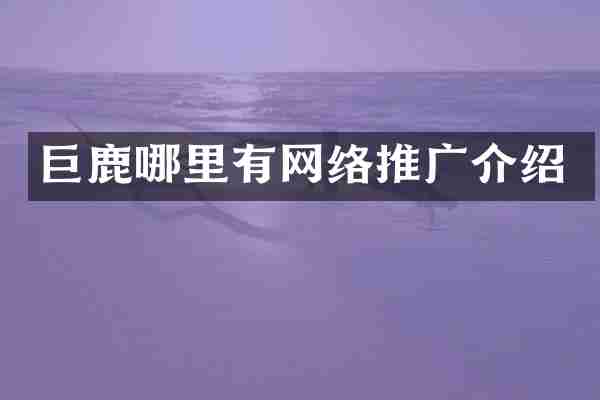 巨鹿哪里有网络推广介绍