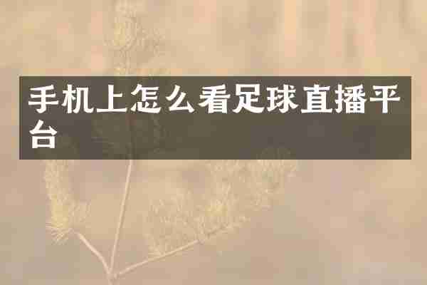 手机上怎么看足球直播平台