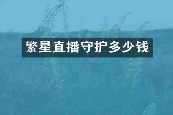 繁星直播守护多少钱