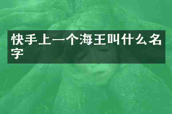 快手上一个海王叫什么名字