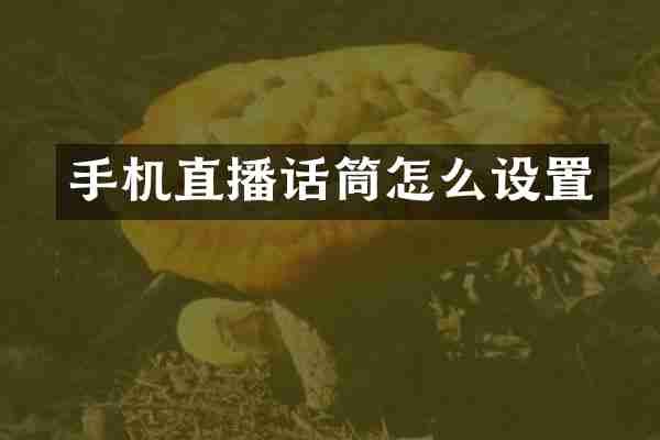 手机直播话筒怎么设置