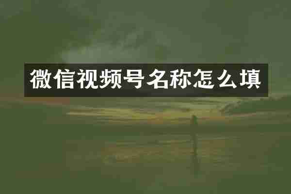 微信视频号名称怎么填