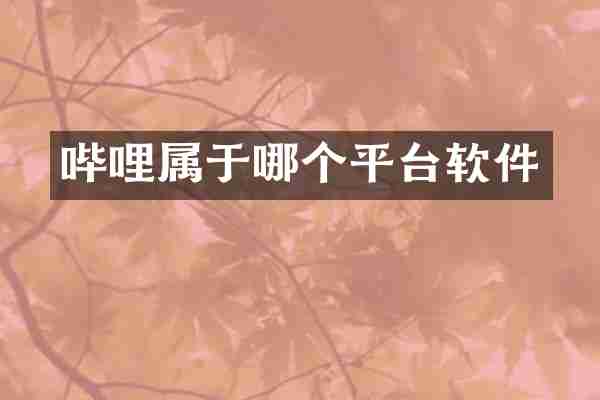 哔哩属于哪个平台软件