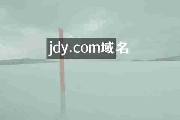 jdy.com域名
