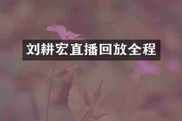 刘耕宏直播回放全程