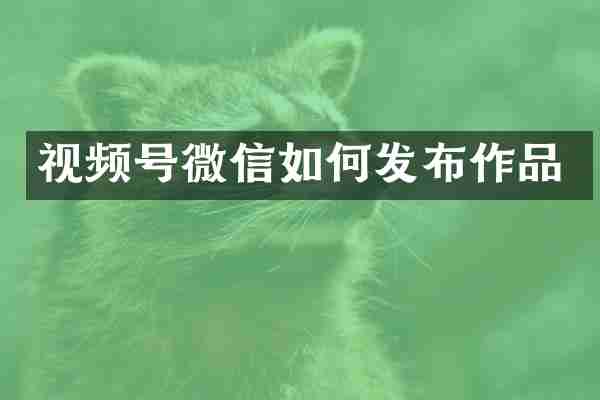 视频号微信如何发布作品