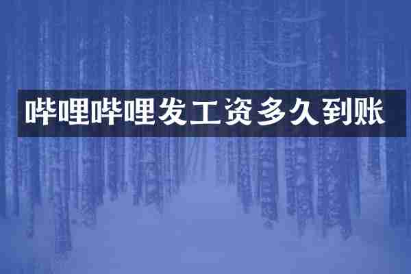 哔哩哔哩发工资多久到账