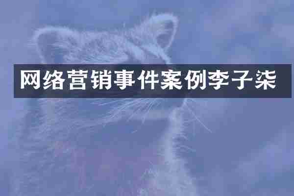 网络营销事件案例李子柒