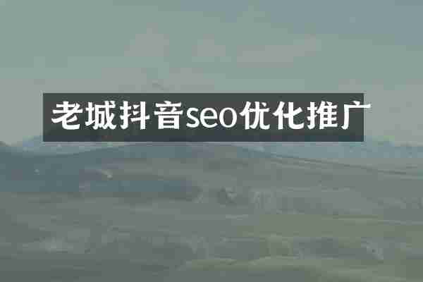 老城抖音seo优化推广