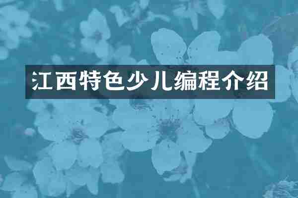 江西特色少儿编程介绍