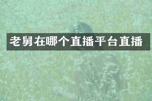 老舅在哪个直播平台直播