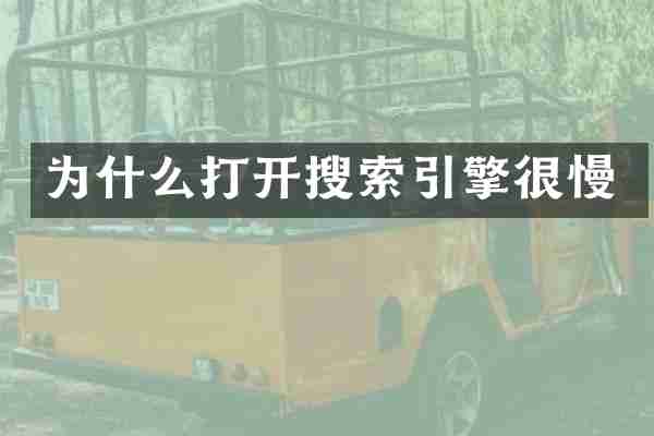 为什么打开搜索引擎很慢