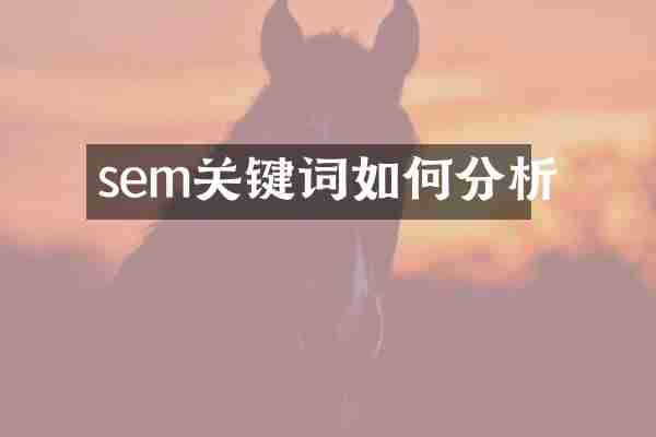 sem关键词如何分析