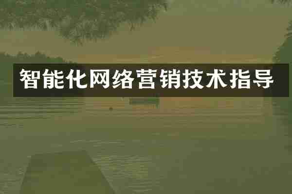 智能化网络营销技术指导